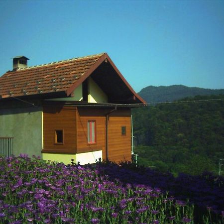 B&B Cip E Ciop Miazzina Екстериор снимка